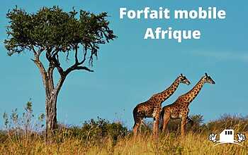 Lancez votre marque telecom mobile & esim 10 svg%3E