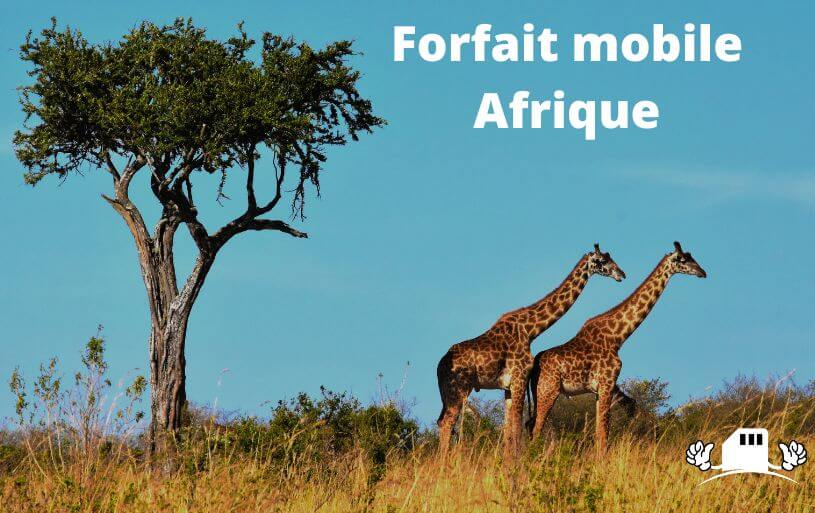 exemple de forfaits bisatel en e-commerce. forfait pour les Africains