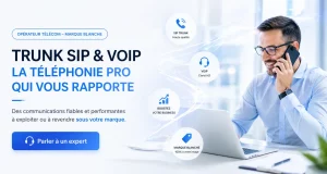 Fonctionnement du Trunk SIP en entreprise